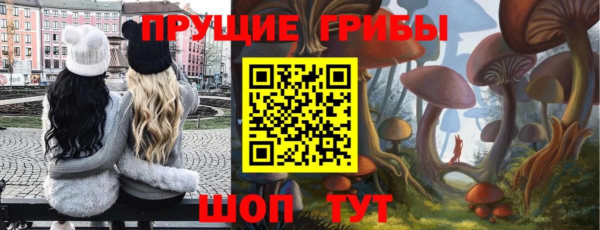 Галлюциногенные грибы GOLDEN TEACHER  Галлюциногенные грибы Psilocybine cubensis  Вход с VPN  закладки  Апатиты 